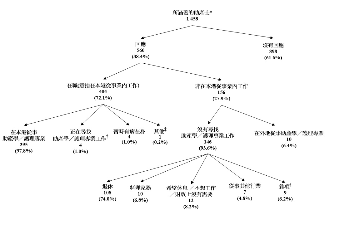 所涵蓋助產士的經濟活動身分